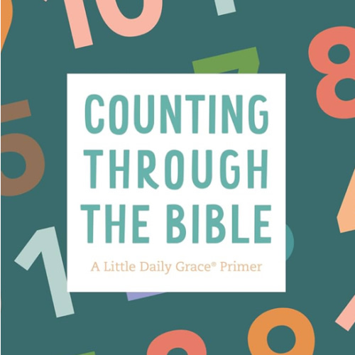 Counting Through the Bible Board Book