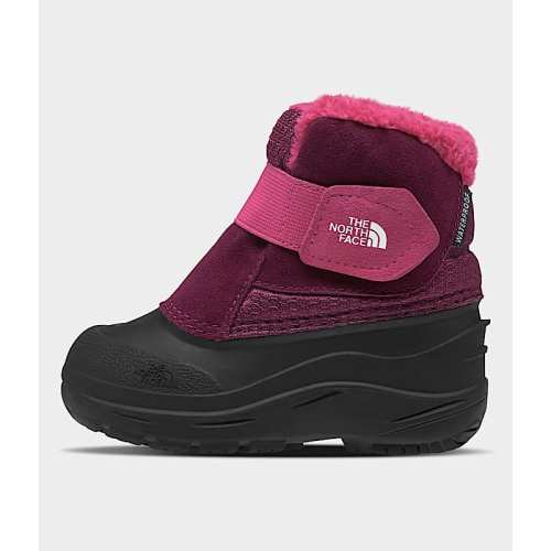 Toddler Alpenglow II Boots | The North Face Canada