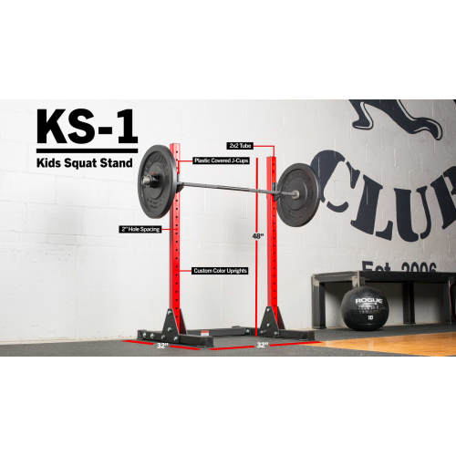 Rogue KS-1 Kids Squat Stand