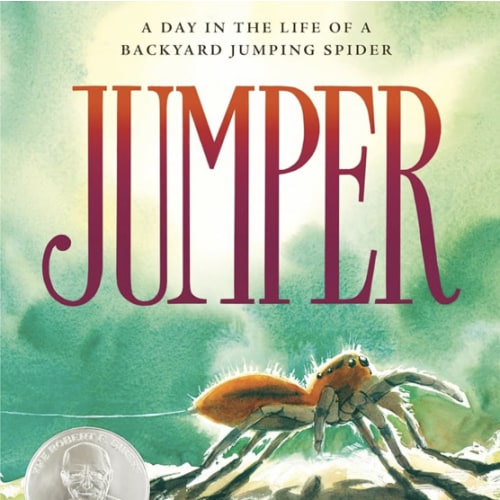 Jumper: A Day in the Life of a Backyard Jumping Spider