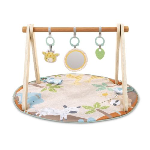 Ingenuity Wonder & Wood Toy Arch & Play Mat