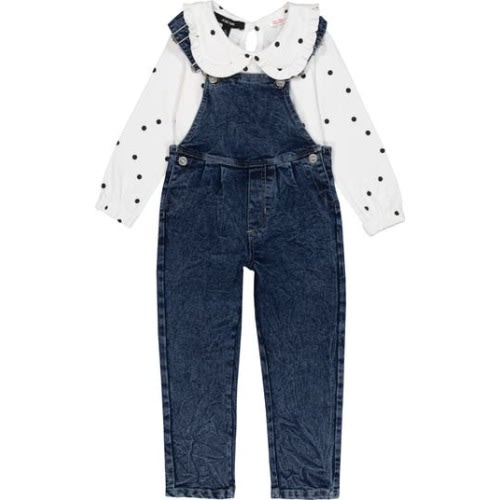 Long Sleeve Top & Overalls Set, 12M