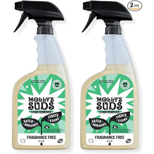 Molly's Suds Stain Remover Spray | Gentle Yet Powerful, Great for Baby & Pet Stains | Clean, Simple Ingredients (Fragrance Free) (16 Fl Oz (Pack of 2))
