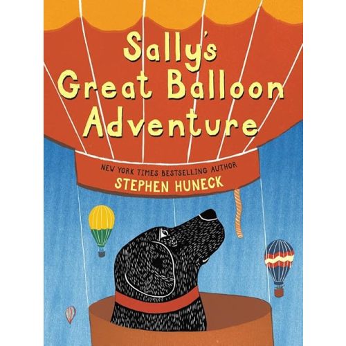 Sally's Great Balloon Adventure Hardcover – Picture Book, April 1, 2010