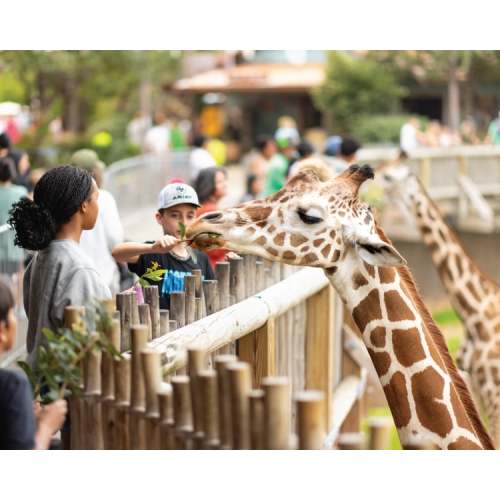 Fort Worth Zoo Membership