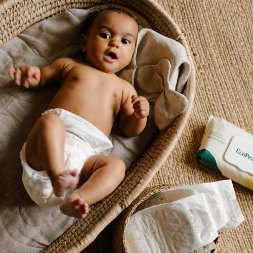 Box of Bamboo Diapers – EcoPeaCo. Canada