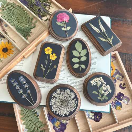 Create Your Own Dark Canvas Gallery Wall | Moody Nature Art | Botanical wall hanging Pressed Floral Wall Art | Framed Pressed Flower Decor