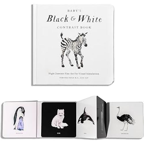 Baby's Black and White Contrast Book: High-Contrast Art for Visual Stimulation at Tummy Time (Our Little Adventures Series)