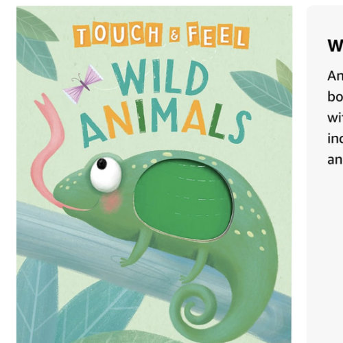 Wild Animals: A Touch and Feel Book - Children's Board Book - Educational