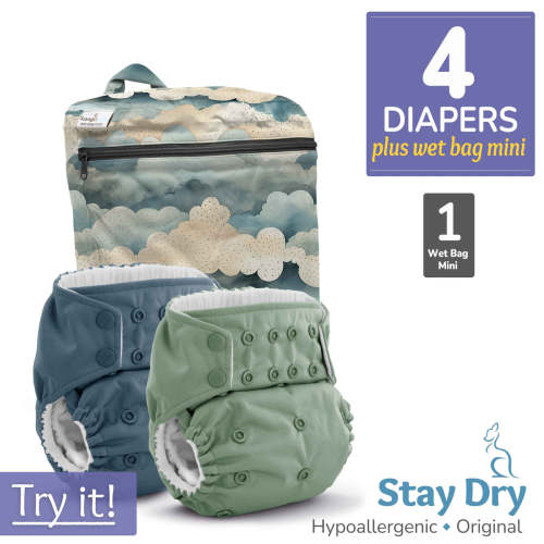 Cloth Diaper Bundle - Try It! | Rumparooz G3 Stay Dry Original :: 4 pa