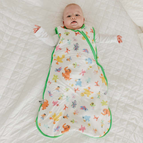 Sleep Bag - Sesame Friends