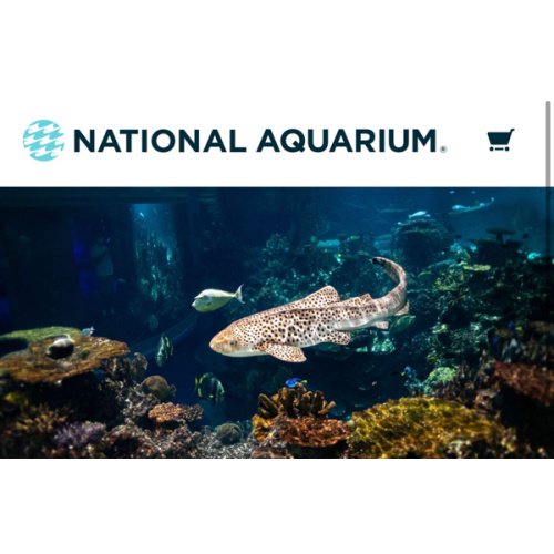 National Aquarium :: General Admission