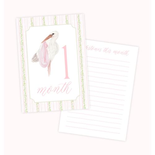 Baby Girl Milestone Cards, Watercolor Pink Green Floral Milestone Cards, Stork Girl Monthly Milestones, Baby Shower Gift, Baby Month Cards