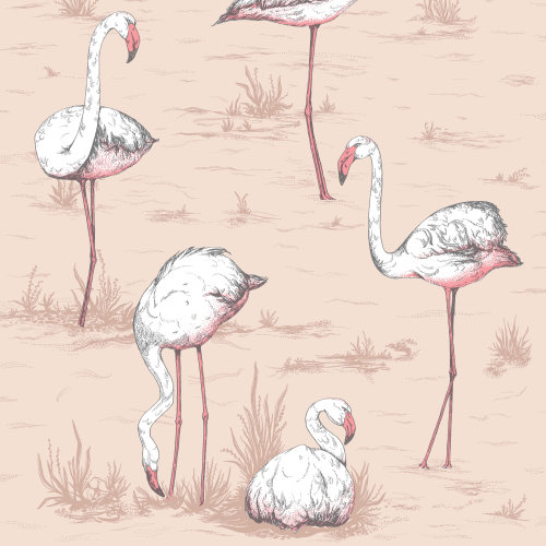 Flamingos Wallpaper Roll