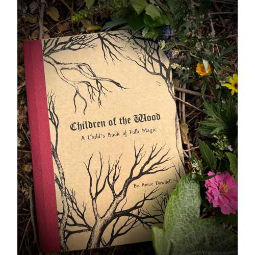 Children of the Wood: A Child's Book of Folk Magic