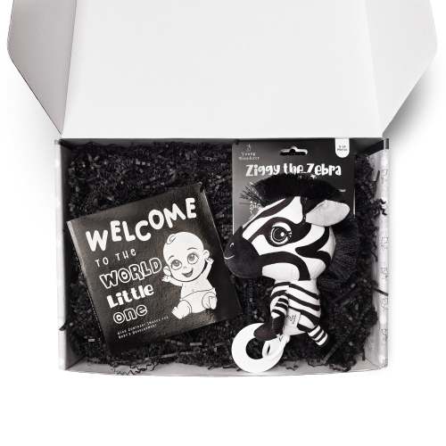 Welcome Little One Baby Gift Set – Young Wonderer