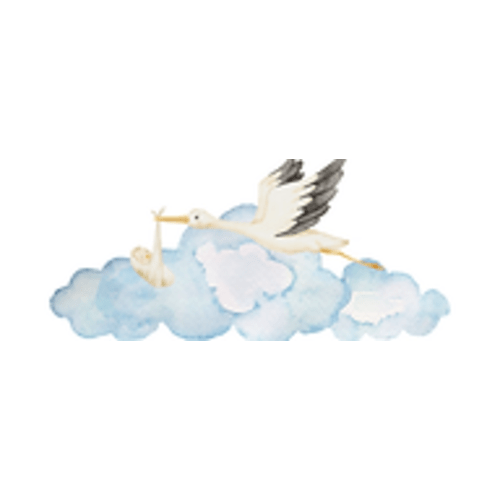 Scalloped Bib | Secret Stork Co