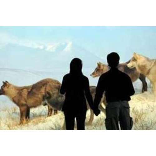 Denver Museum of Nature and Science 1 Year Membership Family Plus