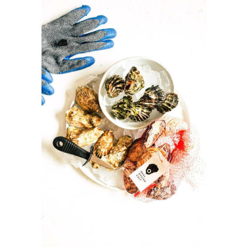 Essential Oyster Set
