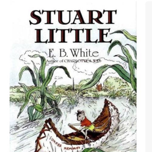 Stuart Little: A Classic Illustrated Children's Book of Adventure and Friendship