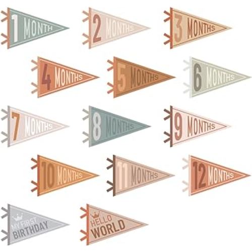 VitalCozy 14 Pcs Baby Milestone Pennant Signs Monthly Milestone Banner Flags Pennant Triangle Banner Age Flag Signs for Boy Girl Newborn Birthday Party Decor(Assorted Colors)