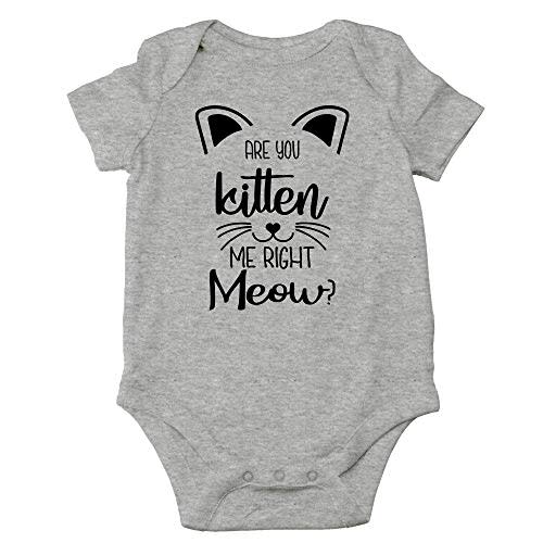 CBTwear You Kitten Me Right Meow - Baby Clothes - Funny Newborn Bodysuit Outfits for Boys and Girls