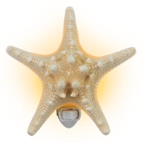Nautical Crush Trading Real Starfish Night Light – Beach Night Light with Knobby Starfish – Shell Light for Bathroom – Sea Shell Lamp – Seashell Lamp Plug Into Wall