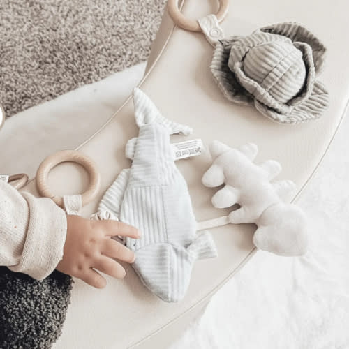 TROUT – Little Lamb Kind