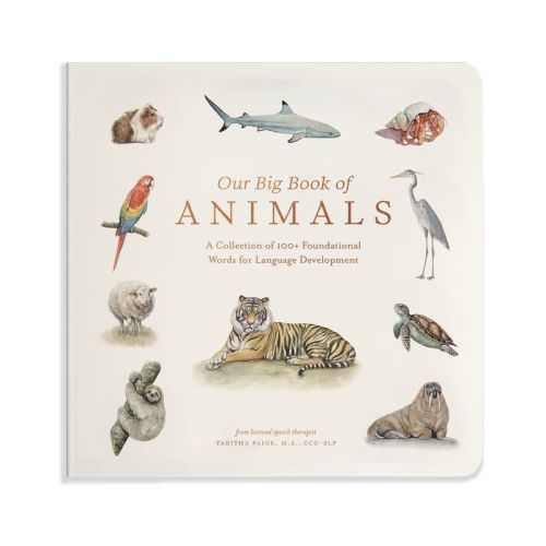 Our Big Book of Animals - (Tabitha Paige Children's Book) by Tabitha Paige (Board Book)