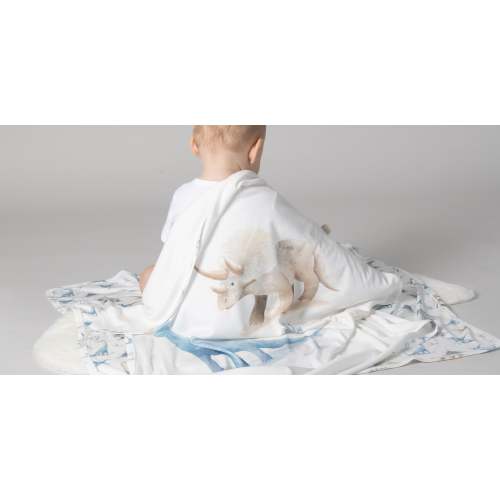 Jurassic Bamboo 2pk Hooded Towels