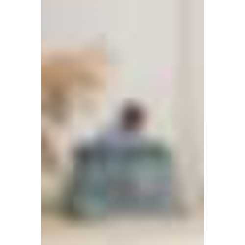 BabyBjörn Travel Crib Light