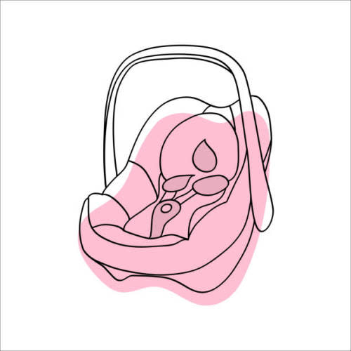 Car Seat and Carrier Fund