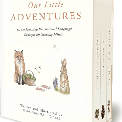 Our Little Adventures: Stories Featuring Foundational Language Concepts for Growing Minds (Tabitha Paige Children's Book Series)