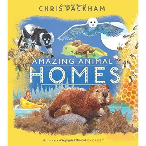 Amazing Animal Homes