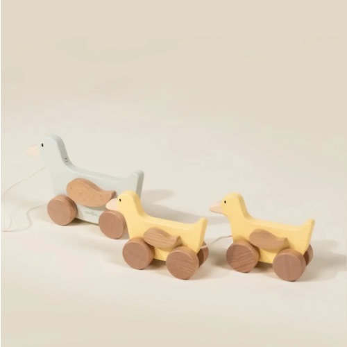 Wooden Duck Family Pull Toy