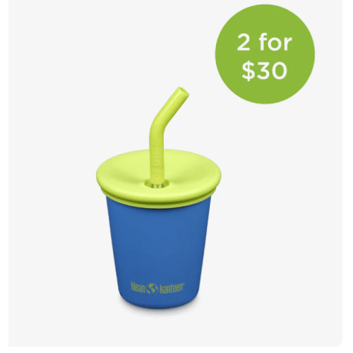 10oz Stainless Steel Kids' Cup with Straw