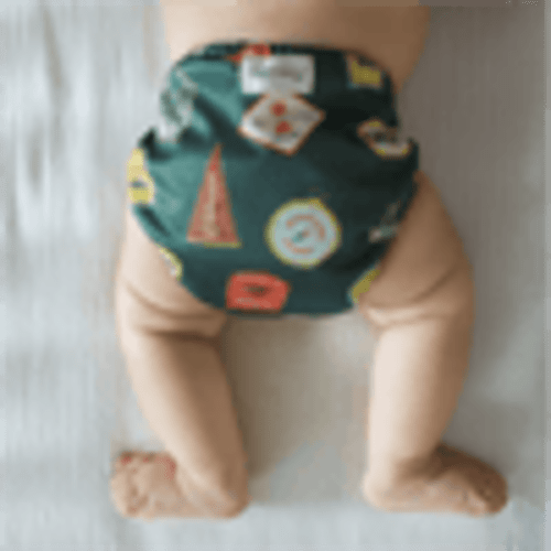 Organic Cloth Diaper Bundle Starter – Esembly