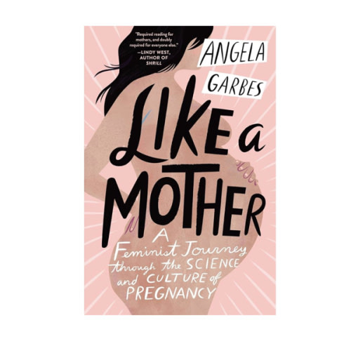 Like a Mother: A Feminist Journey Through the Science and Culture of Pregnancy