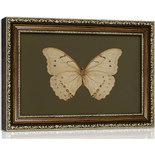 VZKRHPGA Vintage Gold Framed Butterfly Wall Art,Watercolor Green Prints