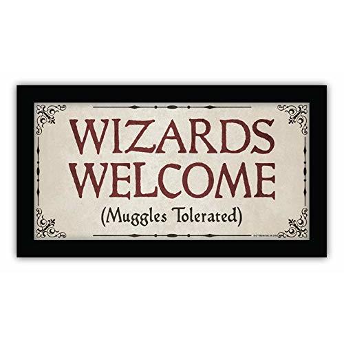 Silver Buffalo Harry Potter Wizards Welcome (Muggles Tolerated) Gel Coat Framed MDF Wall Decor Art Poster, 10 x 18 Inches