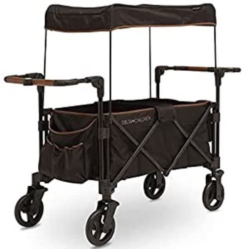 Amazon.com : Delta Children Hercules Stroller Wagon for 2 Kids Versatile Stroller Wagon with Canopy, Push/Pull Handles, Cup Holders and Storage Pockets Compact Fold is Great for Travel, Black : Baby