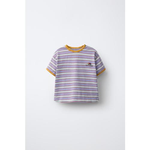 STRIPED FRUIT OF THE LOOM T-SHIRT - Multicolored | ZARA United States
