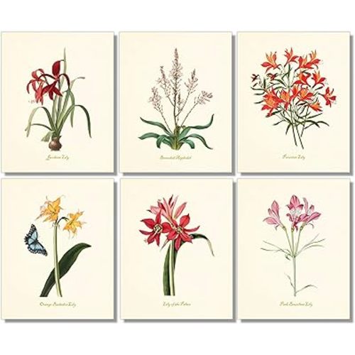 Lilies Flower Wall Art - Vintage Floral Decor - Botanical Prints (Set of 6) - 8 x 10 - Unframed