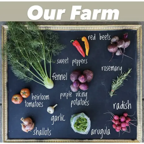 Summer CSA 2026 — Amaltheia Organic Dairy