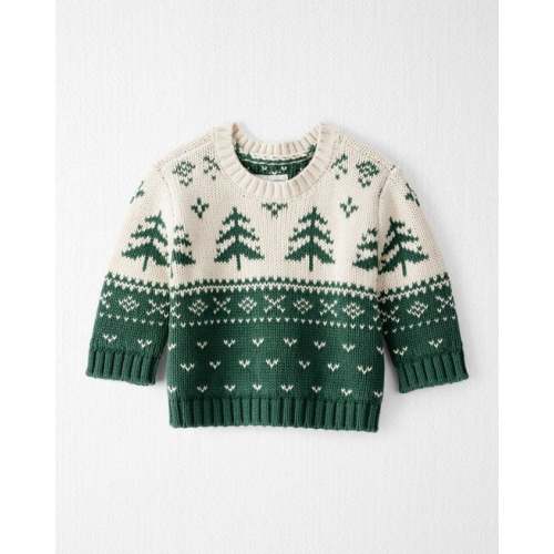 Baby Organic Cotton Fair Isle Sweater Knit Pullover - Little Planet | Carter's