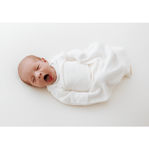 Swaddelini Bamboo Pure Cloud Swaddle Sleep Sack – Bambi Baby