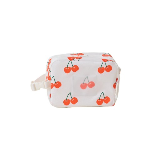 Mini Cooler Bag