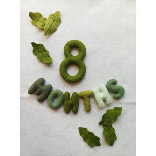Baby Milestone Numbers, Baby Monthly and Weekly Milestone Numbers milestone photo new baby photo, Birth Stat Sign Green Felt Baby Milestones