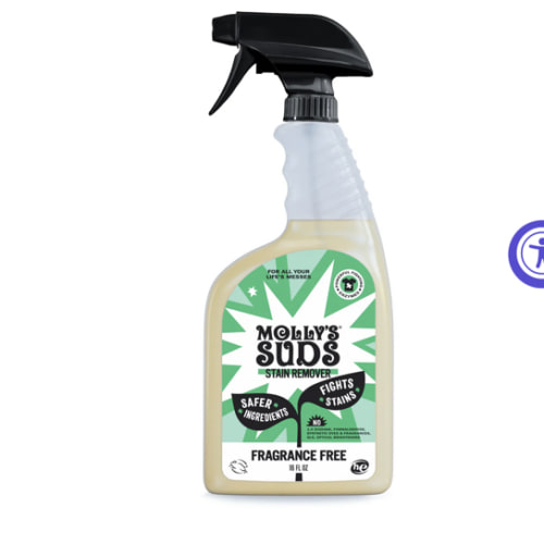 Laundry Stain Remover Spray – Molly’s Suds
