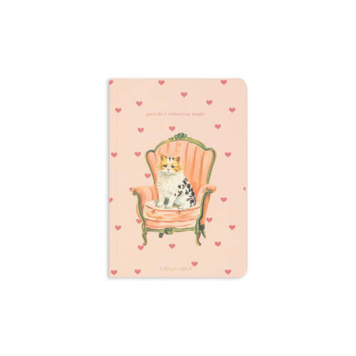 MINI PAINTING BOOKS FSC - animals